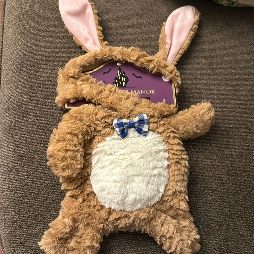 Dog Coatume - Bunny